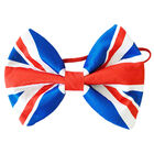 Union Jack Bowtie image number 1