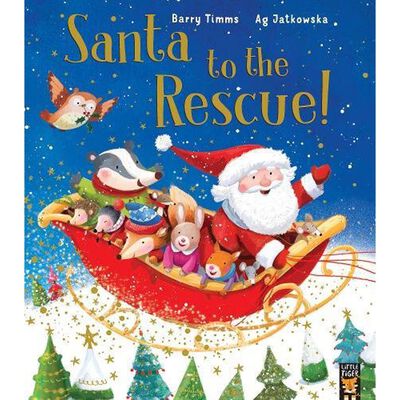 Santa to the Rescue! image number 1