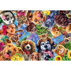 Cheeky Paws & Playful Claws 500 Piece Jigsaw Puzzle image number 2