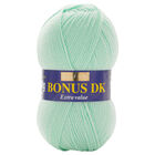 Bonus DK: Mint Yarn 100g image number 1