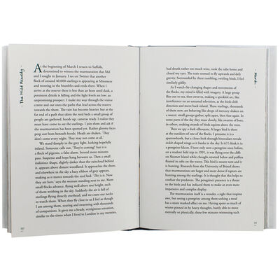 The Wild Remedy image number 2