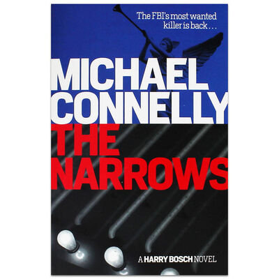 The Narrows image number 1