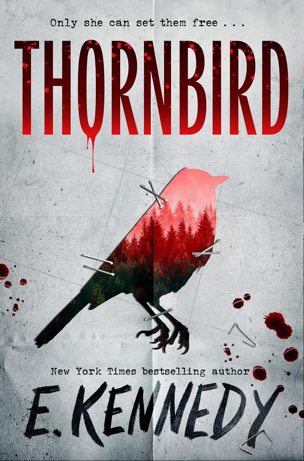 Thornbird by E.Kennedy. Book cover of Thornbird by E.Kennedy.
