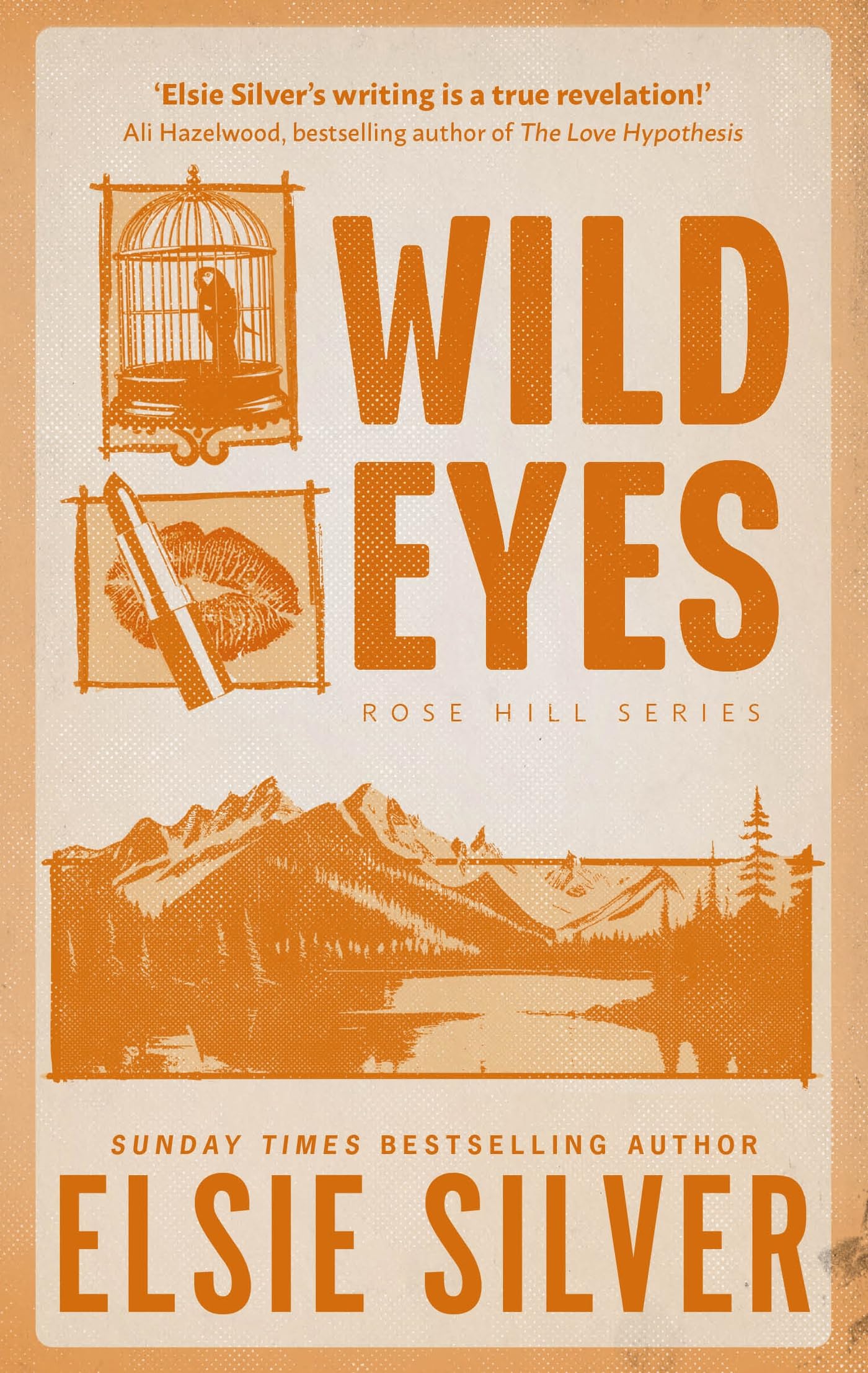 Wild Eyes book cover by Elsie Silver