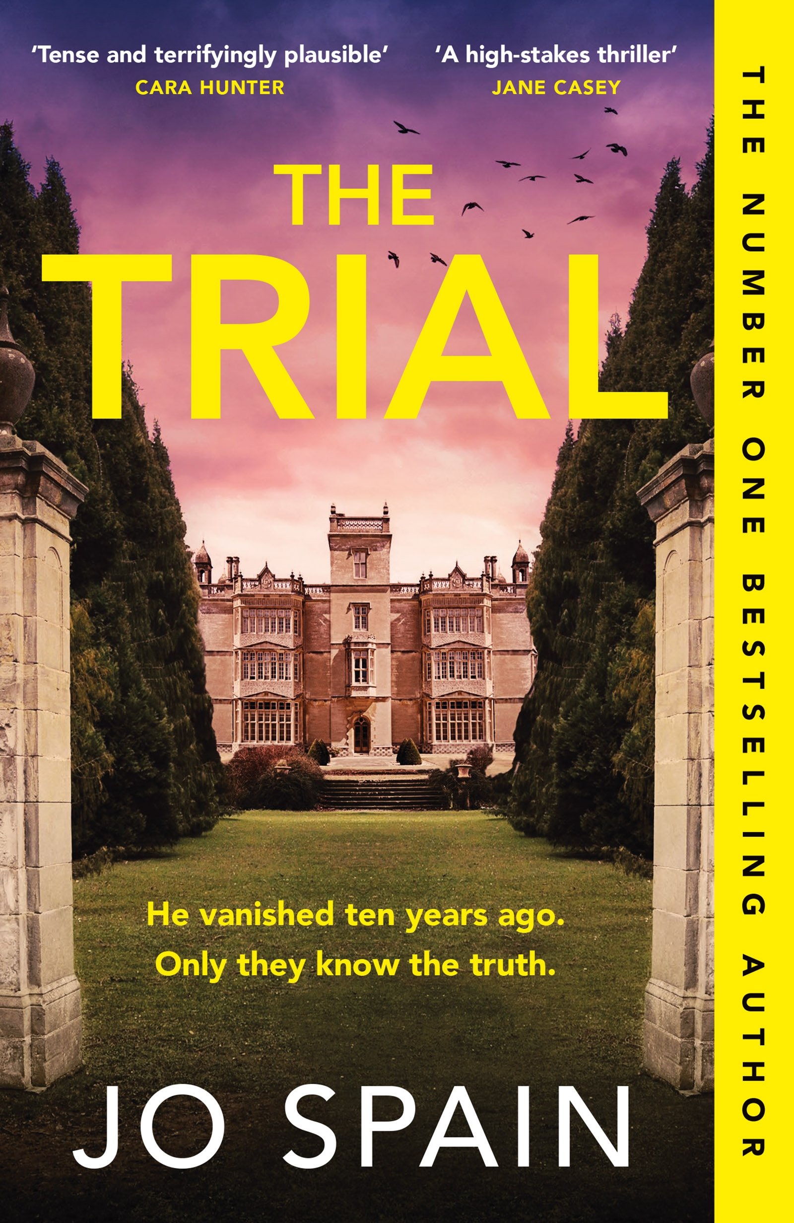 Book cover of The Trial by Jo Spain