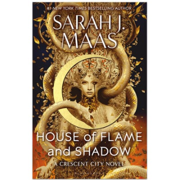 House of Flame and Shadow Book