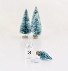 Christmas Tree Bottle Advent Calendar