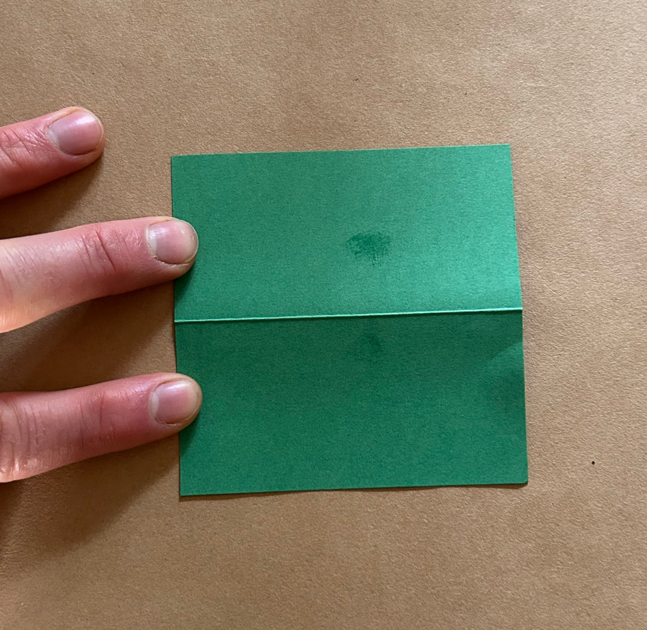 Shamrock Leaf Step 2