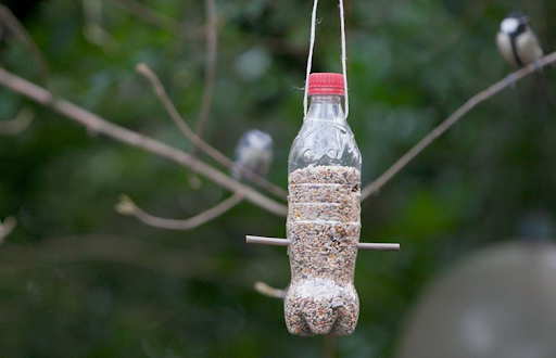 Bottle Birde Feeder