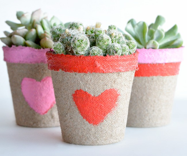 Succulent Planters - Valentines gifts