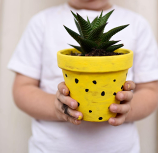 Pineapple Planters - Summer Crafts