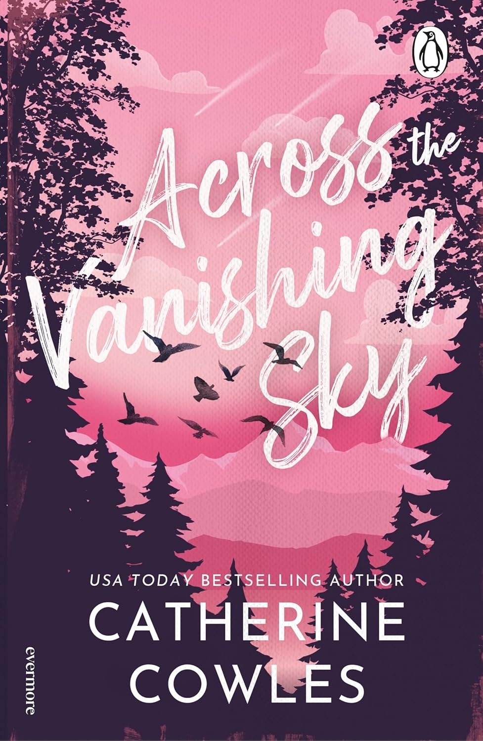 Book cover of Across the Vanishing Sky by Catherine Cowles.