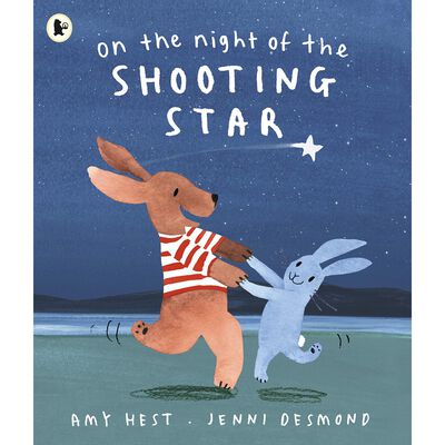 On the Night of the Shooting Star by Amy Hest