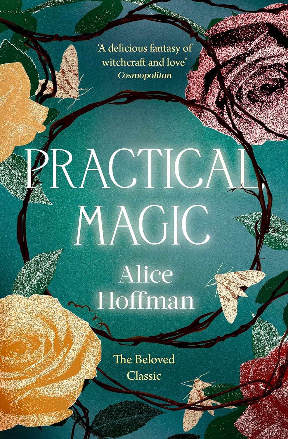 Practical Magic Book cover of Practical Magic.