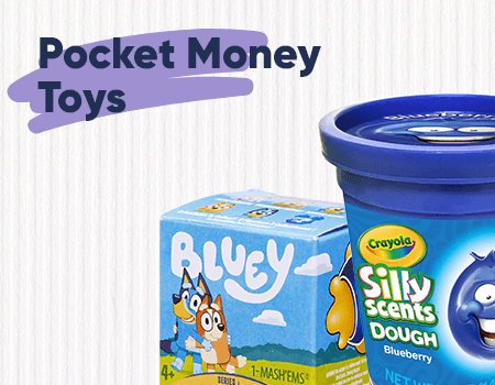 Pocket Money Toys