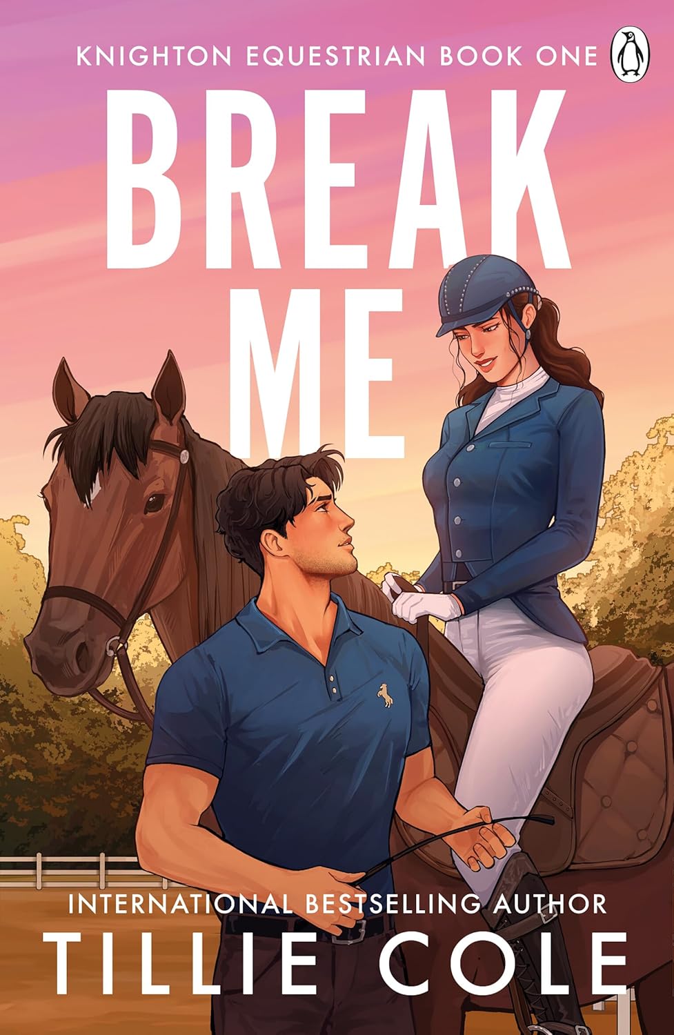 Break Me by Tillie Cole. Book cover of Break Me by Tillie Cole.