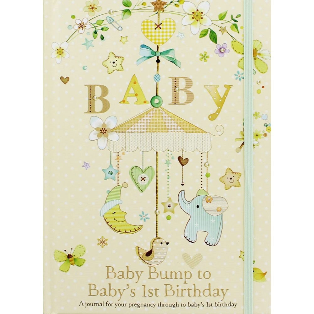 Image of Baby Bump To Baby's 1St Birthday Journal