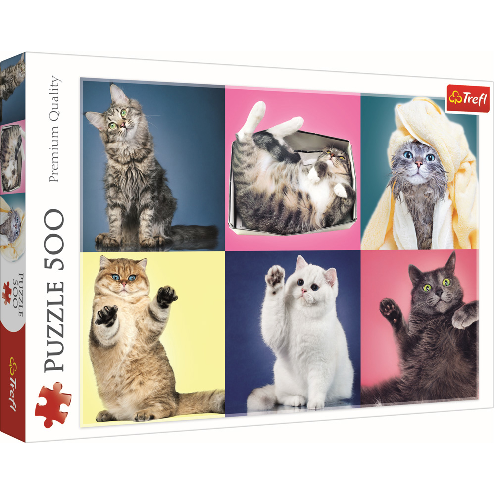 Image of Kitten 500 Piece Jigsaw Puzzle