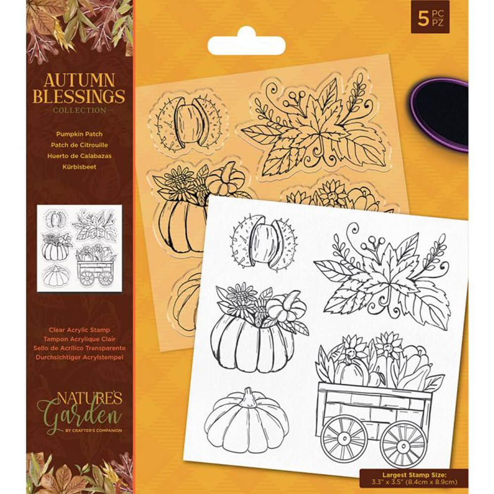 Nature’S Garden Autumn Blessings Acrylic Stamp Set: Pumpkin Patch