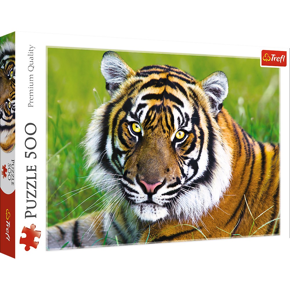 Image of Tiger 500 Piece Jigsaw Puzzle